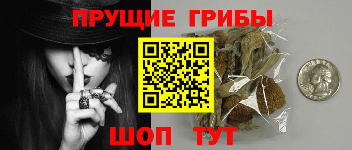 Лосино-Петровский  Галлюциногенные грибы Psilocybe  Галлюциногенные грибы GOLDEN TEACHER  Вход с VPN 