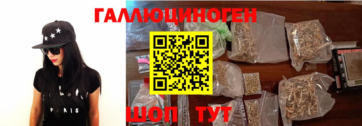 Псилоцибиновые грибы Cubensis Лосино-Петровский